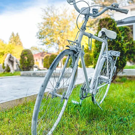 и марая Țarevo